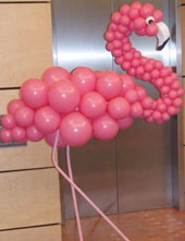 Hem Balloons Decorators in MUmbai